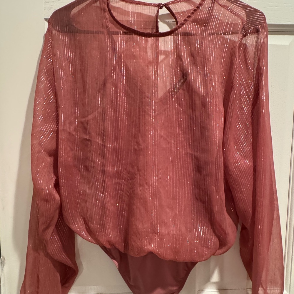 Elegant Sheer Pink Blouse bodysuit